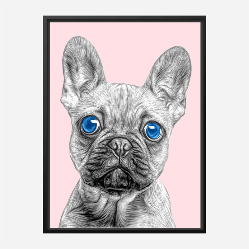 French bulldog 2024 chanel print